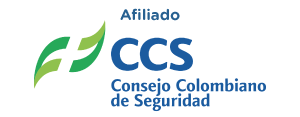 CCS
