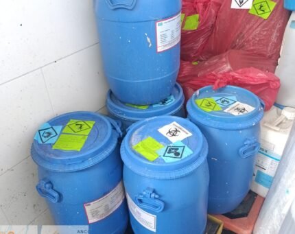 WhatsApp Image 2025-09-10 at 12.18.13 PM (3)